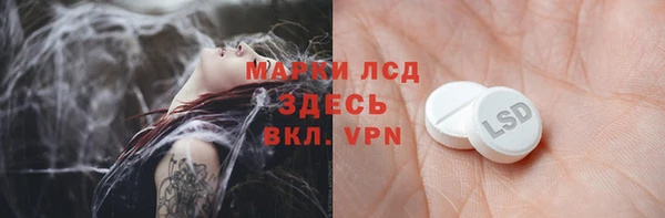 прущие грибы Нягань