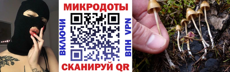 Псилоцибиновые грибы мухоморы  Кушва 